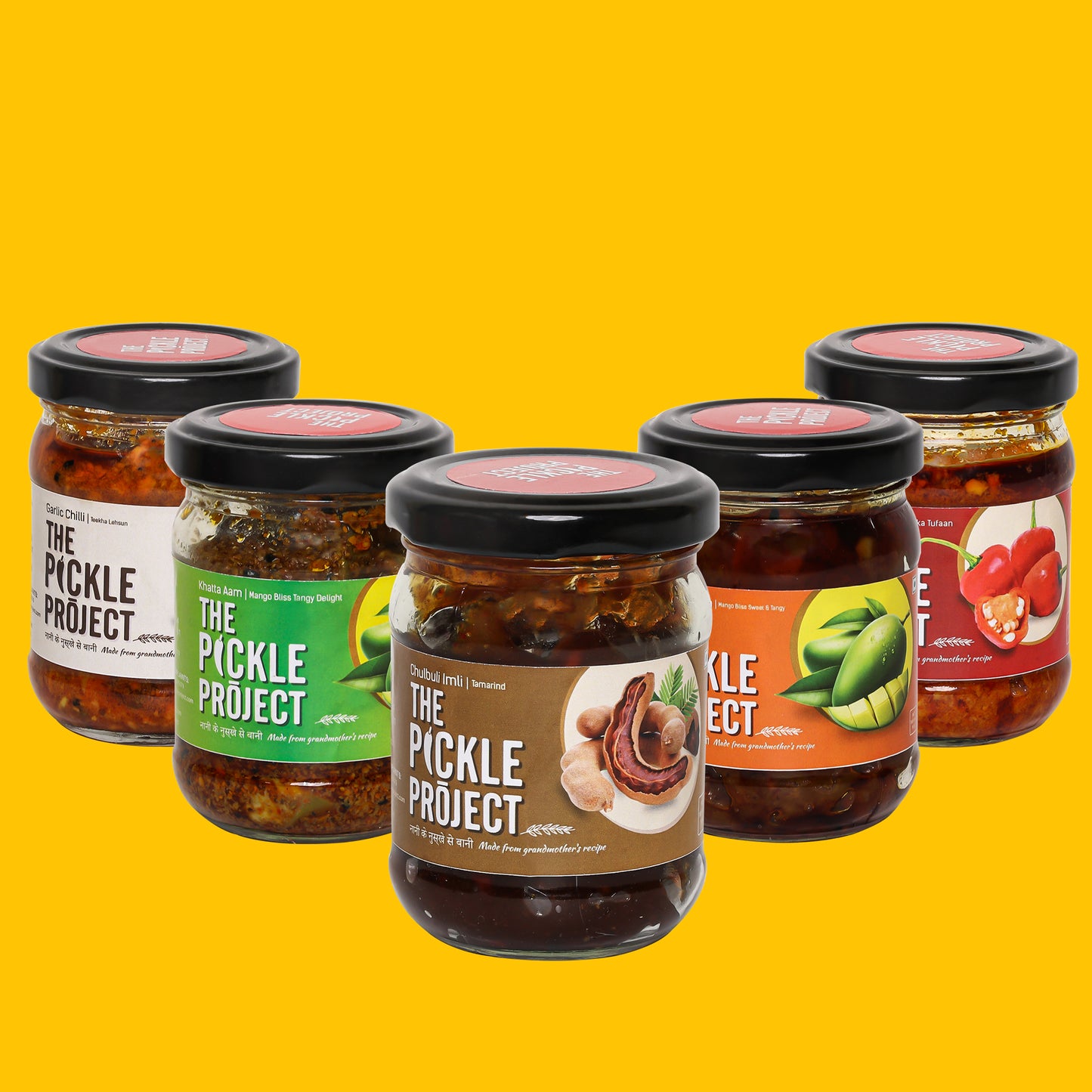 Best Homemade Pickles Sample Pack – 5 Assorted Varieties (5×100 g Jars)